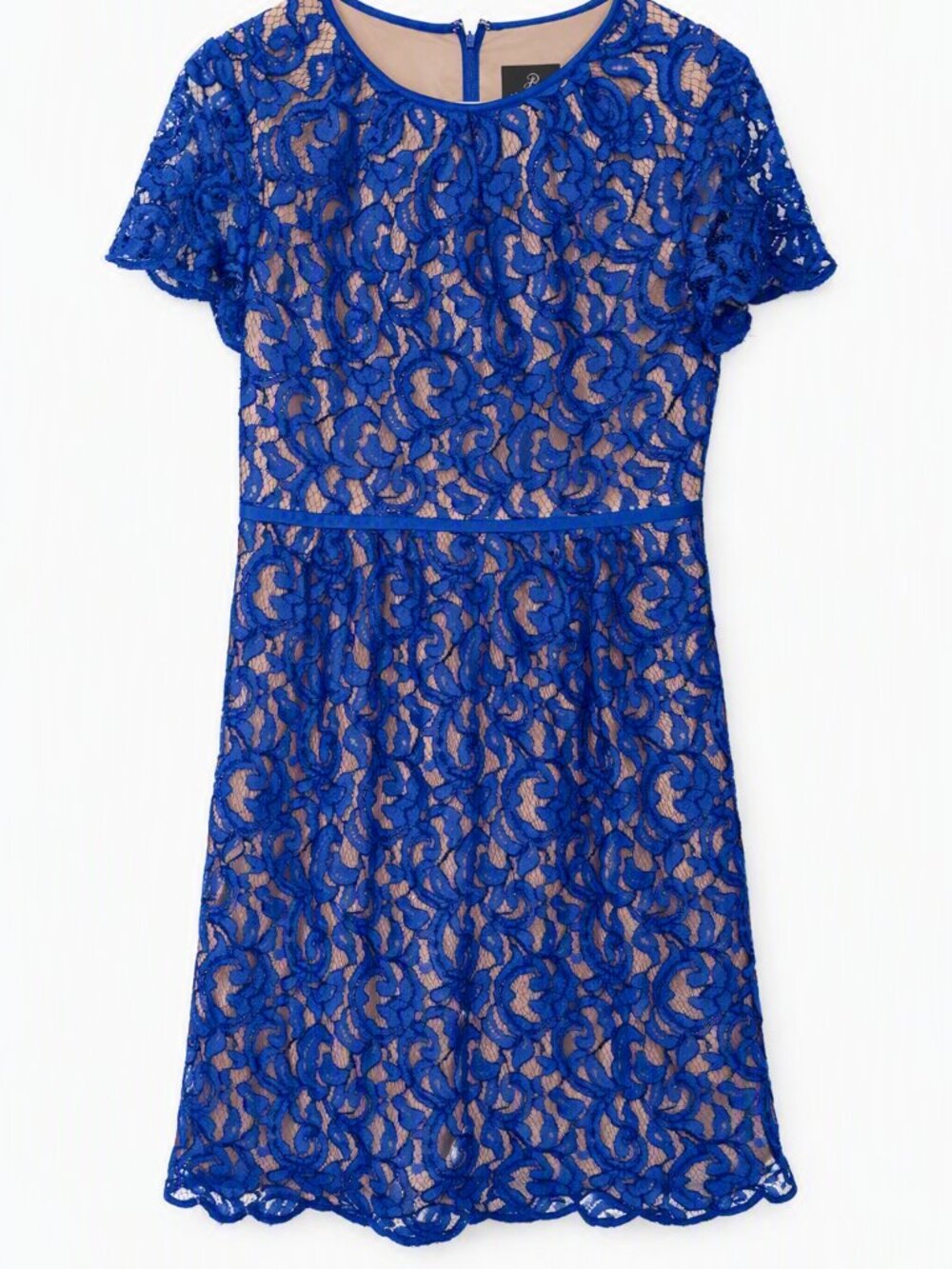 Adrianna Papell Royal Blue Lined Lace Midi Dress SIZE 10 Mother of the Bride